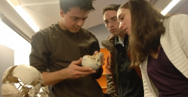 Students examining a skull